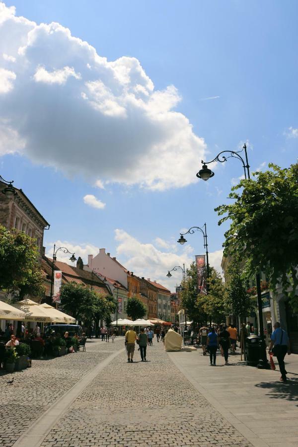 Corso Comfort Apartments Сібіу Екстер'єр фото